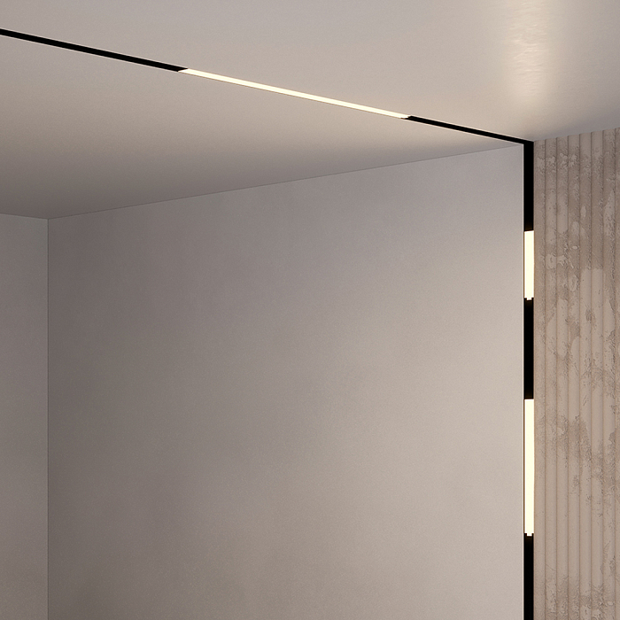 Трековая система Technical TR074-2-12W4K-B