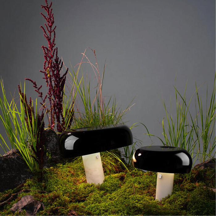 Настольная лампа Divinare 1083/06 TL-1