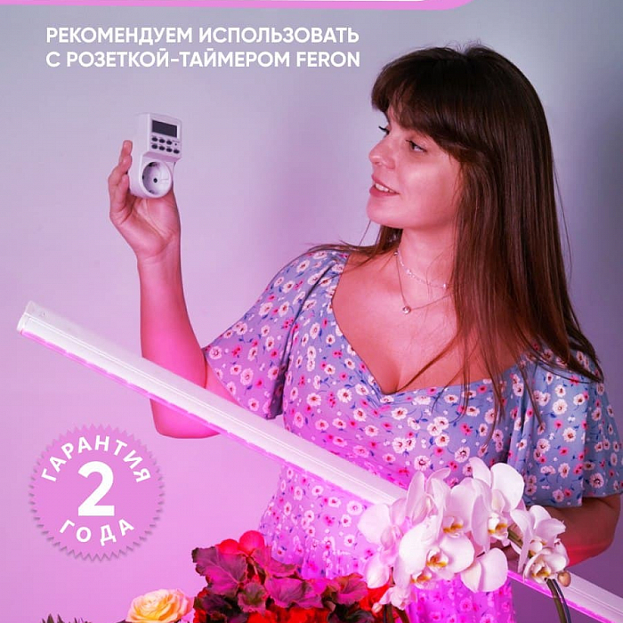 Светильник FERON 41351