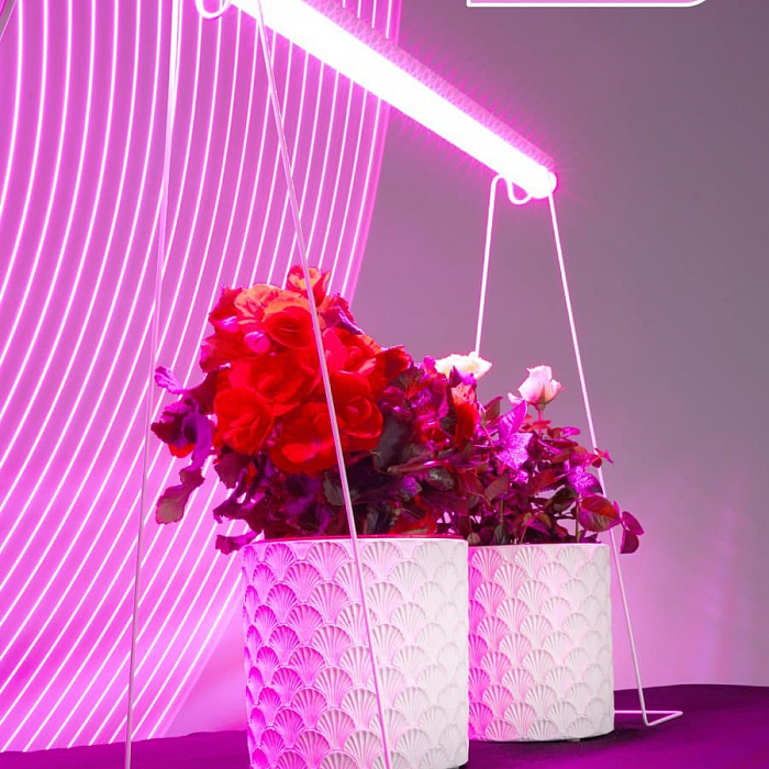 Светильник FERON 41352