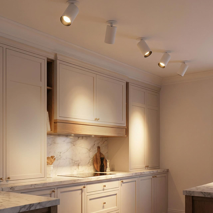 Светильник  CL512D10