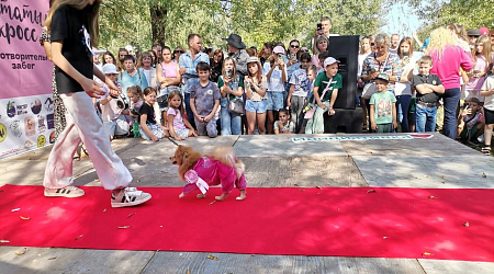 Хвостатый кросс